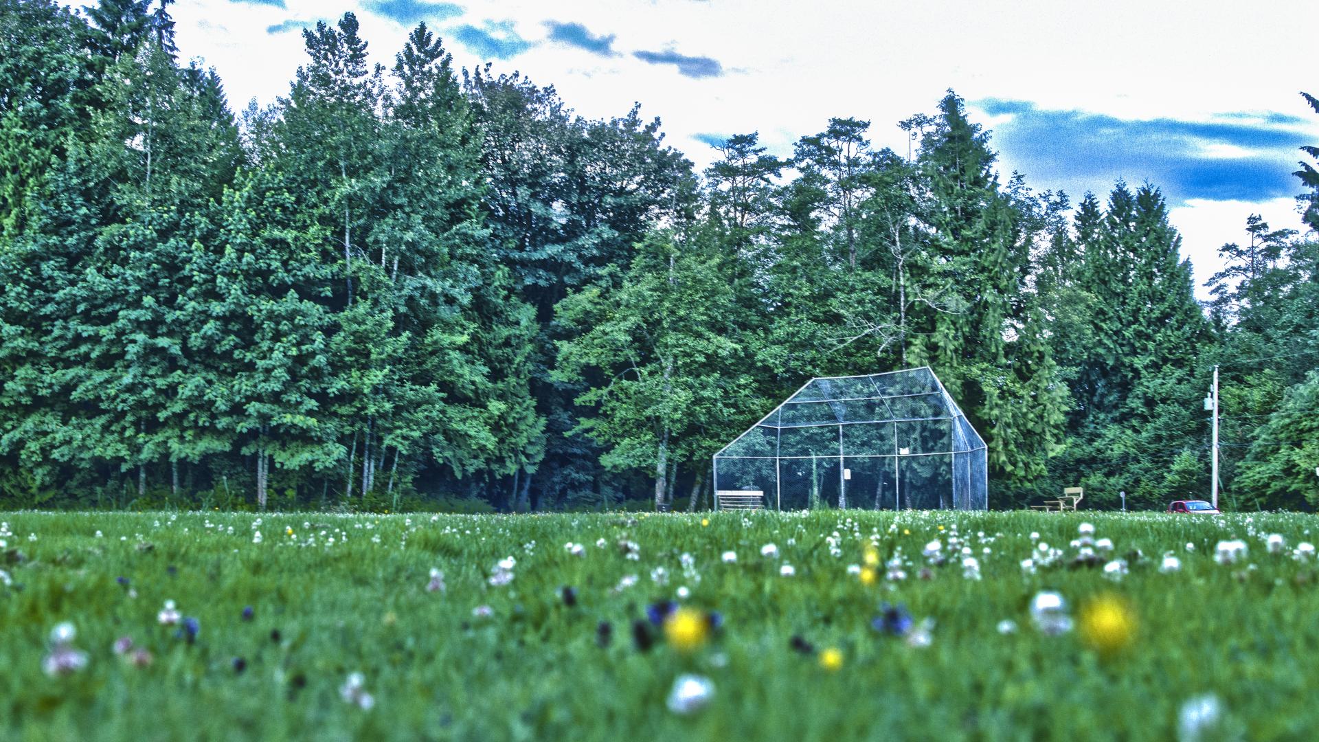 A open field with a baseball diamond and trees surrounding.